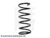 PROTO MB891717 Coil Spring